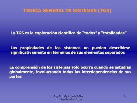 TEORÍA GENERAL DE SISTEMAS (TGS)