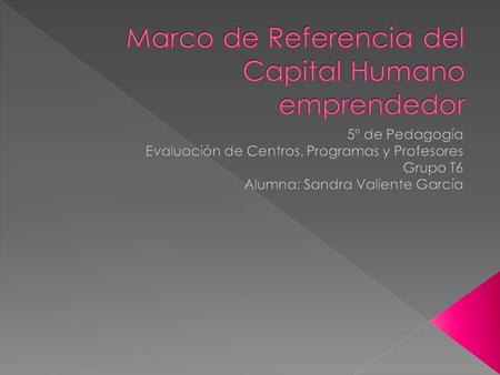 Marco de Referencia del Capital Humano emprendedor