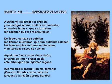 SONETO  XIII GARCILASO DE LA VEGA