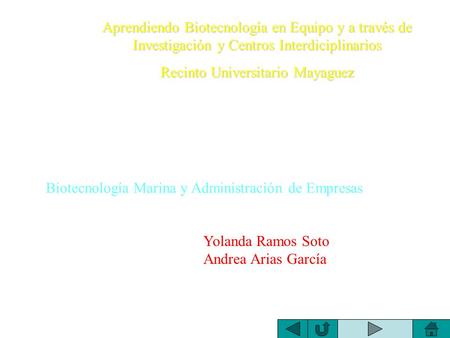 Recinto Universitario Mayaguez