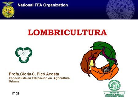 LOMBRICULTURA Profa.Gloria C. Picó Acosta Especialista en Educación en Agricultura Urbana mgs.