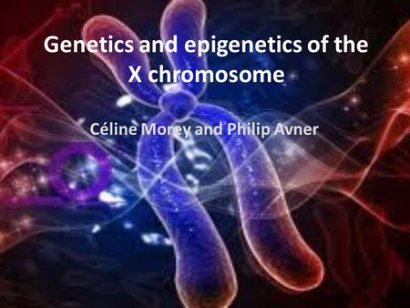 Genetics and epigenetics of the X chromosome
