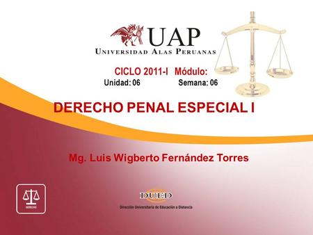 DERECHO PENAL ESPECIAL I Mg. Luis Wigberto Fernández Torres