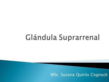 MSc. Susana Quirós Cognuck
