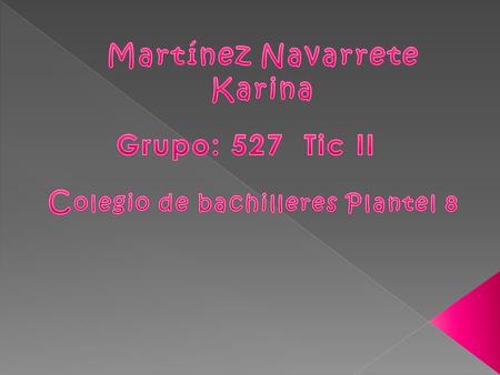 Martínez Navarrete Karina