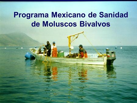 Programa Mexicano de Sanidad de Moluscos Bivalvos