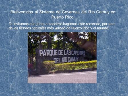 Bienvenidos al Sistema de Cavernas del Río Camuy en Puerto Rico.