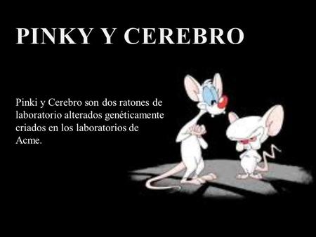PINKY Y CEREBRO Pinki y Cerebro son dos ratones de laboratorio alterados genéticamente criados en los laboratorios de Acme.