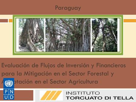 Paraguay Evaluación de Flujos de Inversión y Financieros para la Mitigación en el Sector Forestal y Adaptación en el Sector Agricultura Manual de Metodologías.