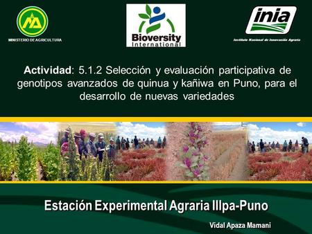 Estación Experimental Agraria Illpa-Puno
