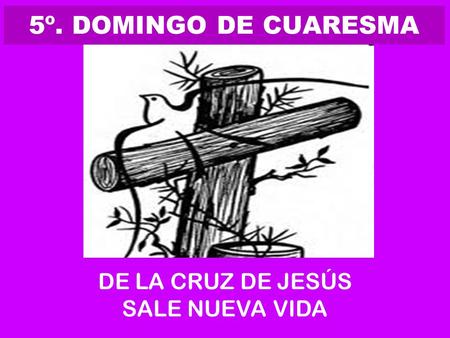 5º. DOMINGO DE CUARESMA DE LA CRUZ DE JESÚS SALE NUEVA VIDA.