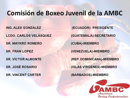 Comisión de Boxeo Juvenil de la AMBC