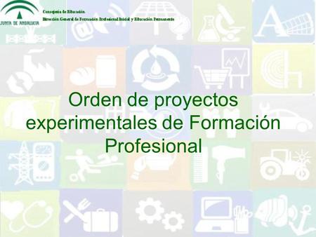 Orden de proyectos experimentales de Formación Profesional