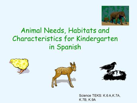 Animal Needs, Habitats and Characteristics for Kindergarten in Spanish