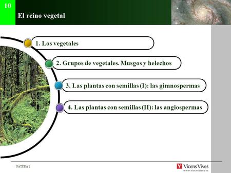 10 El reino vegetal 1. Los vegetales