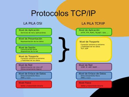 Protocolos TCP/IP.