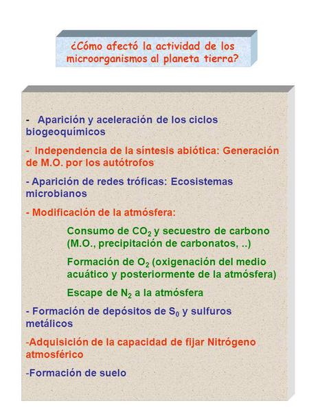 ¿Cómo afectó la actividad de los microorganismos al planeta tierra? - Aparición y aceleración de los ciclos biogeoquímicos - Independencia de la síntesis.