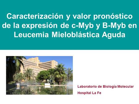 Caracterización y valor pronóstico de la expresión de c-Myb y B-Myb en Leucemia Mieloblástica Aguda Laboratorio de Biología Molecular Hospital La Fe.