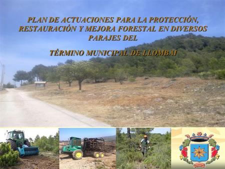 PLAN DE ACTUACIONES PARA LA PROTECCIÓN, RESTAURACIÓN Y MEJORA FORESTAL EN DIVERSOS PARAJES DEL TÉRMINO MUNICIPAL DE LLOMBAI           