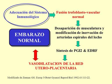 EMBARAZO NORMAL Adecuación del Sistema Inmunológico