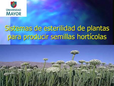 Sistemas de esterilidad de plantas para producir semillas hortícolas