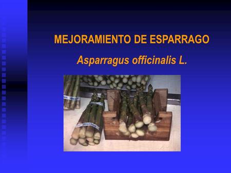 MEJORAMIENTO DE ESPARRAGO Asparragus officinalis L.