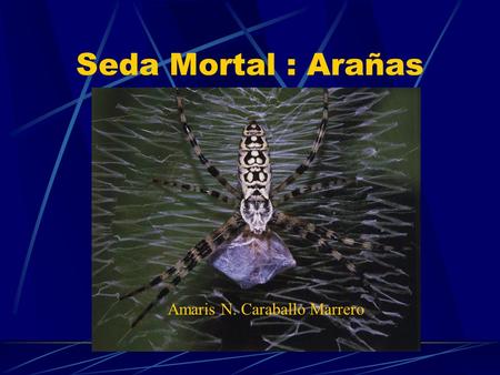 Seda Mortal : Arañas Amaris N. Caraballo Marrero.