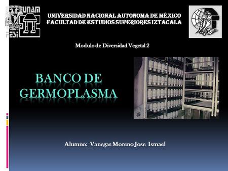 BANCO DE GERMOPLASMA Alumno: Vanegas Moreno Jose Ismael