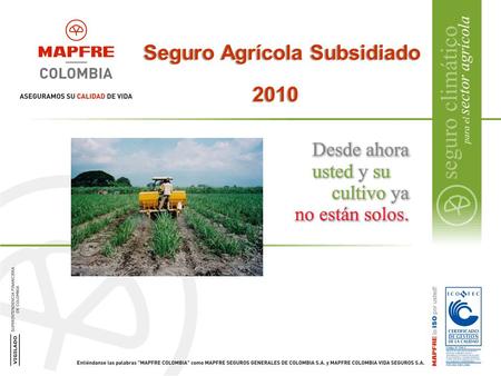 Seguro Agrícola Subsidiado 2010. Estructura Operativa Gerencia Negocios Agropecuarios. Consultoría Internacional (Capacitación, Desarrollo de Productos.
