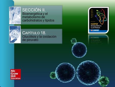 SECCIÓN II Bioenergética y el metabolismo de carbohidratos y lípidos