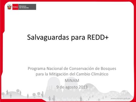 Salvaguardas para REDD+