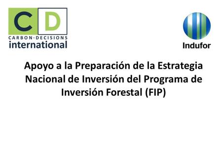 Apoyo a la Preparación de la Estrategia Nacional de Inversión del Programa de Inversión Forestal (FIP)