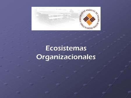 Ecosistemas Organizacionales
