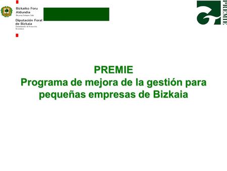 PREMIE Programa de mejora de la gestión para pequeñas empresas de Bizkaia.