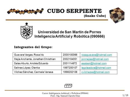 CUBO SERPIENTE Universidad de San Martín de Porres