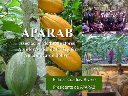 APARAB Asociación de Productores Agroforestales de la Región Amazónica de Bolivia Bidmar Cuadiay Rivero Presidente de APARAB.