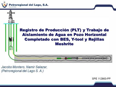 Registro de Producción (PLT) y Trabajo de Aislamiento de Agua en Pozo Horizontal Completado con BES, Y-tool y Rejillas Meshrite Valores constantes de PIP,