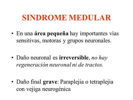 SINDROME MEDULAR En una área pequeña hay importantes vías sensitivas, motoras y grupos neuronales. Daño neuronal es irreversible, no hay regeneración neuronal.