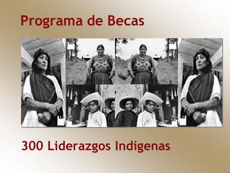 Programa de Becas 300 Liderazgos Indígenas. Las cifras de la exclusión de los indígenas De acuerdo a la más reciente información estadística oficial disponible,