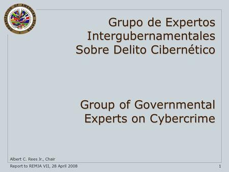 Report to REMJA VII, 28 April 20081 Albert C. Rees Jr., Chair Grupo de Expertos Intergubernamentales Sobre Delito Cibernético Group of Governmental Experts.
