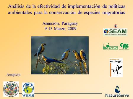 Análisis de la efectividad de implementación de políticas ambientales para la conservación de especies migratorias  Asunción,