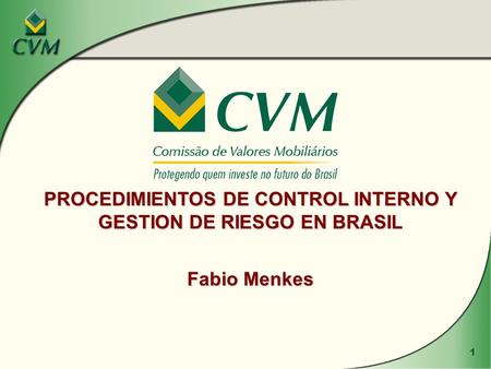 PROCEDIMIENTOS DE CONTROL INTERNO Y GESTION DE RIESGO EN BRASIL