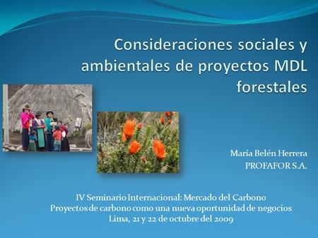 Consideraciones sociales y ambientales de proyectos MDL forestales