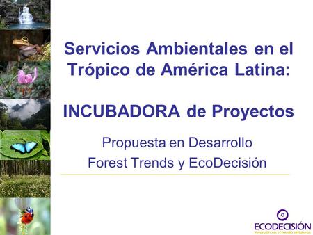 Propuesta en Desarrollo Forest Trends y EcoDecisión