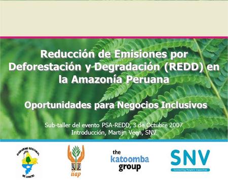Reducción de Emisiones por Deforestación y Degradación (REDD) en la Amazonía Peruana Oportunidades para Negocios Inclusivos Sub-taller del evento PSA-REDD,