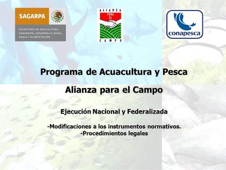Programa de Acuacultura y Pesca Alianza para el Campo Ejecución Nacional y Federalizada -Modificaciones a los instrumentos normativos. -Procedimientos.
