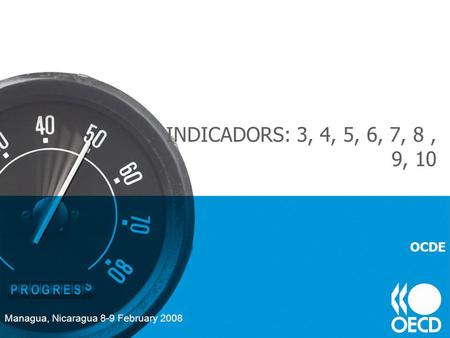 INDICADORS: 3, 4, 5, 6, 7, 8, 9, 10 Managua, Nicaragua 8-9 February 2008 OCDE.