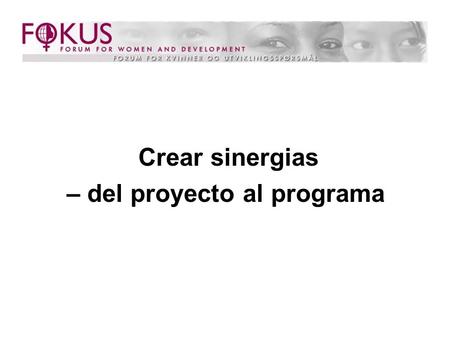 Crear sinergias – del proyecto al programa. Donante (Norad) FOKUS proyecto.