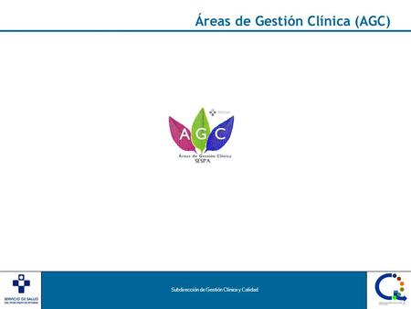 Áreas de Gestión Clínica (AGC)