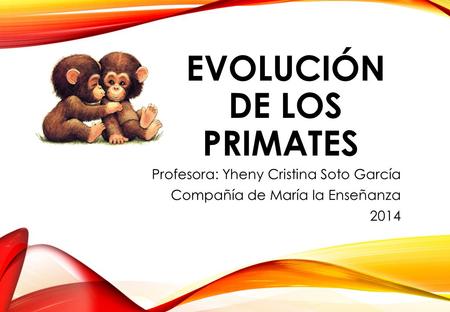 EVOLUCIÓN DE LOS PRIMATES